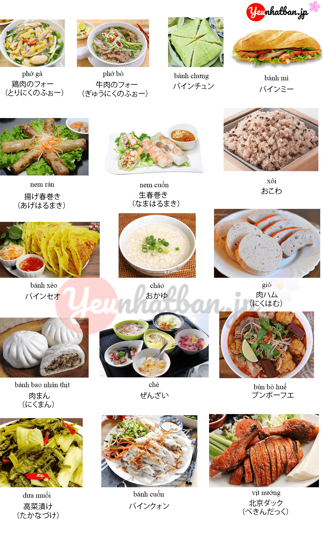 Từ vựng tiếng nhật chủ đề món ăn bằng hình ảnh - Yêu Nhật Bản