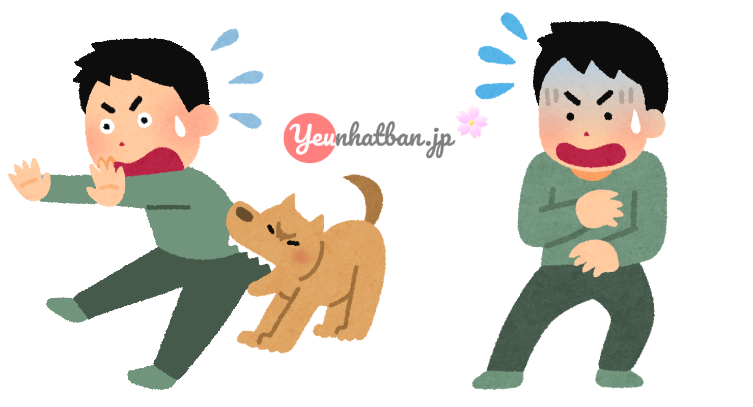 Sự khác nhau giữa 〜て以来 và 〜てからというもの - Yêu Nhật Bản
