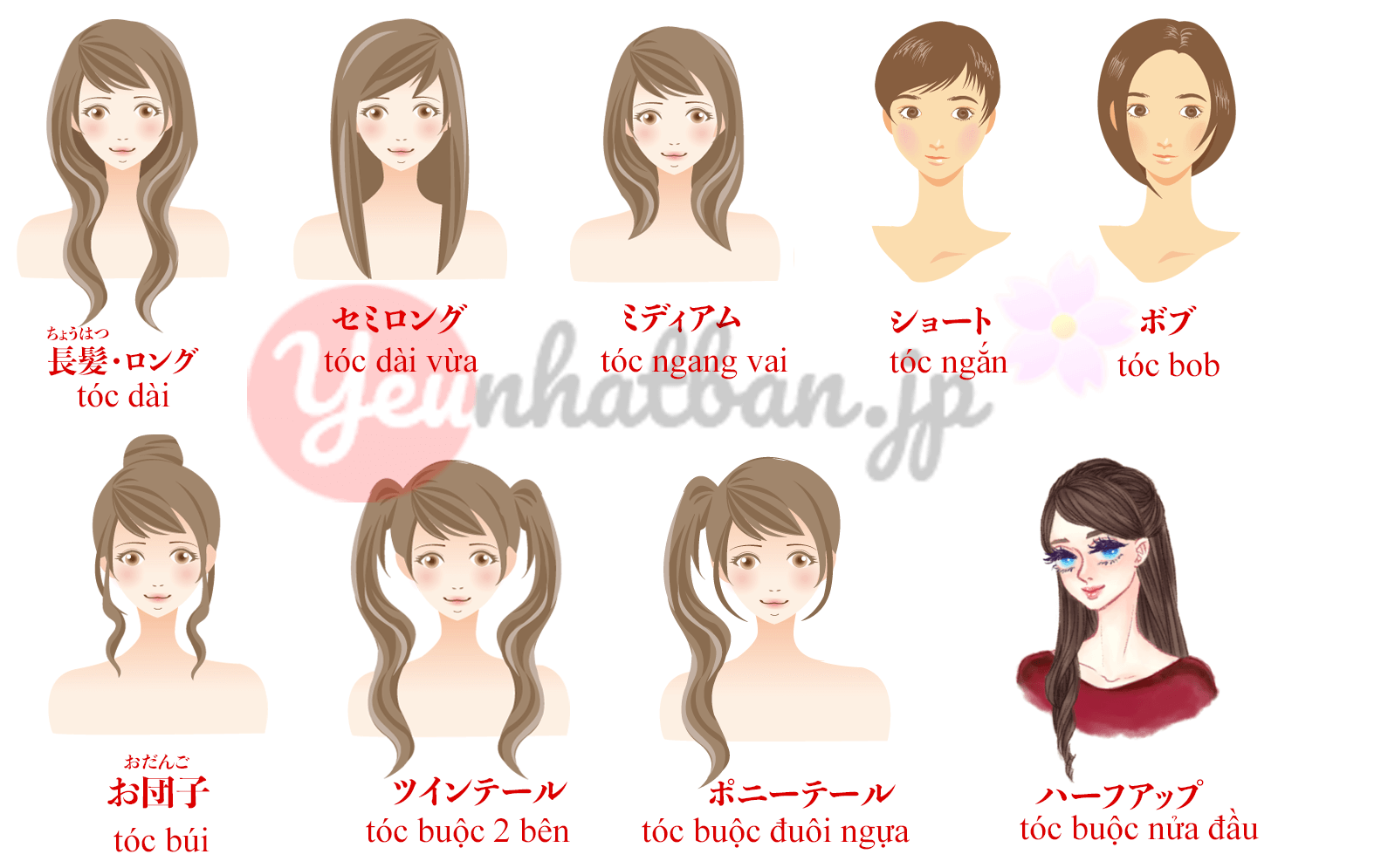 Bạn đang học tiếng Nhật và muốn tìm hiểu về từ vựng liên quan đến tóc? Hãy xem những hình ảnh minh họa về các kiểu tóc phổ biến ở Nhật để bổ sung thêm vốn từ vựng cho bản thân.